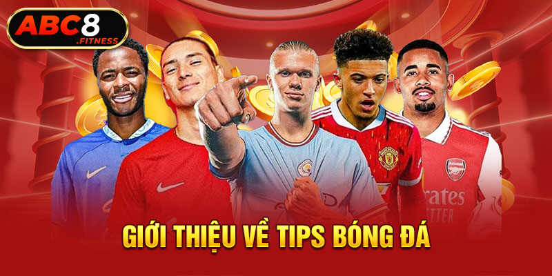 Giới thiệu về tips bóng đá