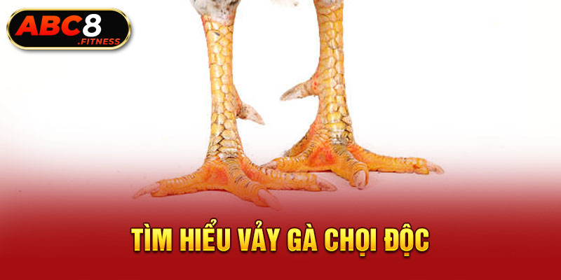 Tìm hiểu vảy gà chọi độc