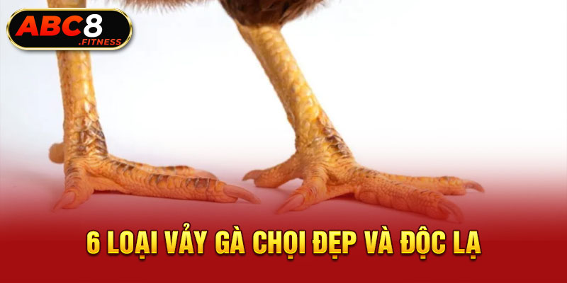 6 loại vảy gà chọi đẹp và độc lạ