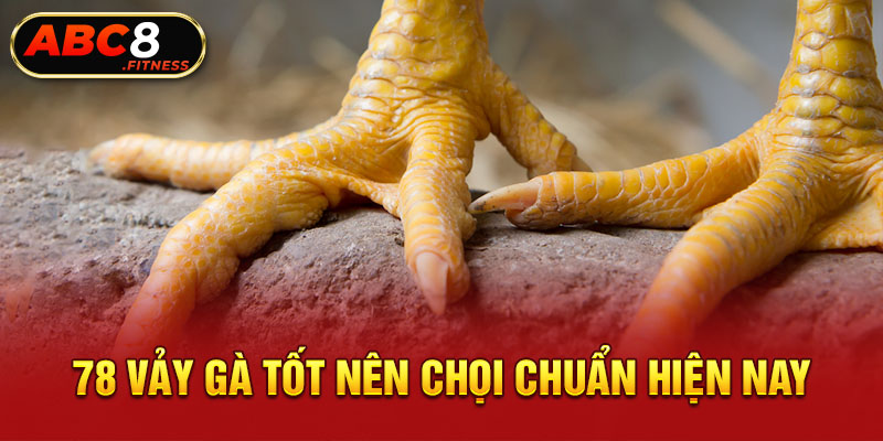 78 vảy gà tốt nên chọi chuẩn hiện nay