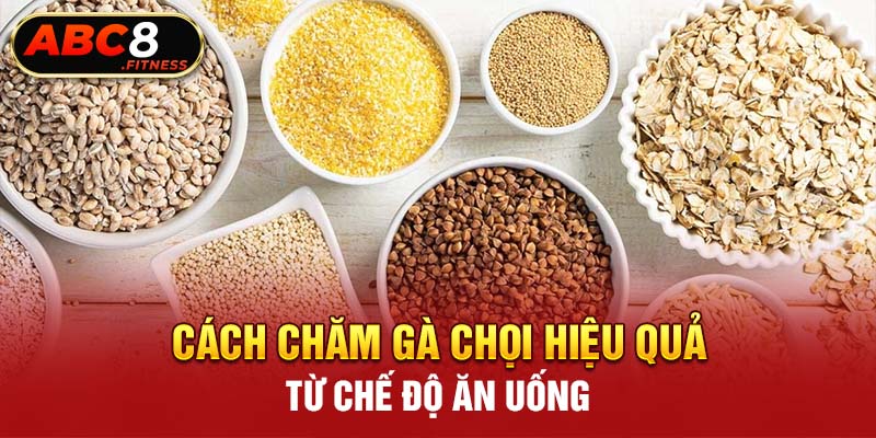 Cách chăm gà chọi hiệu quả từ chế độ ăn uống