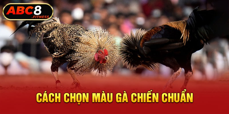 Cách chọn màu gà chiến chuẩn