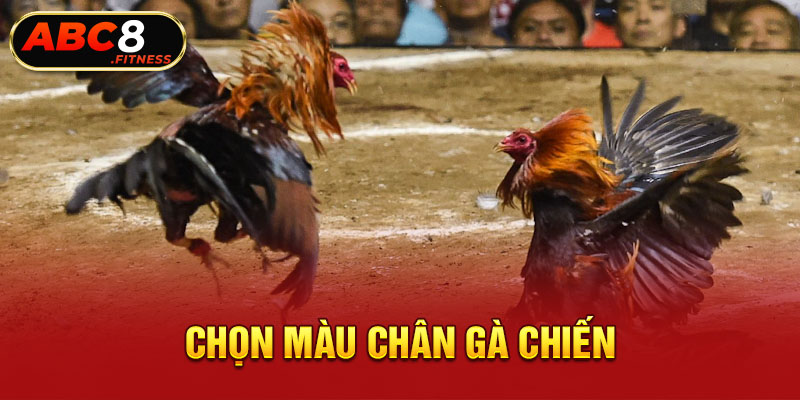 Chọn màu chân gà chiến