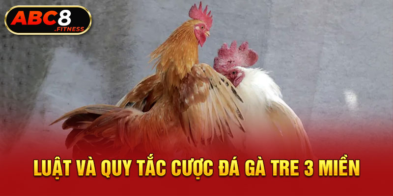 Luật và quy tắc cược đá gà tre 3 miền