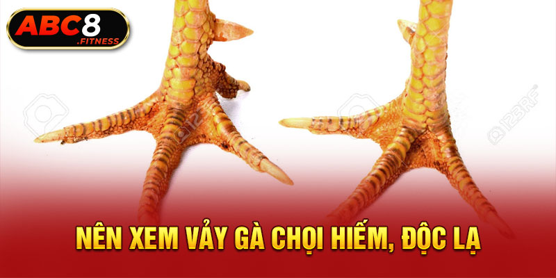 Nên xem vảy gà chọi hiếm, độc lạ